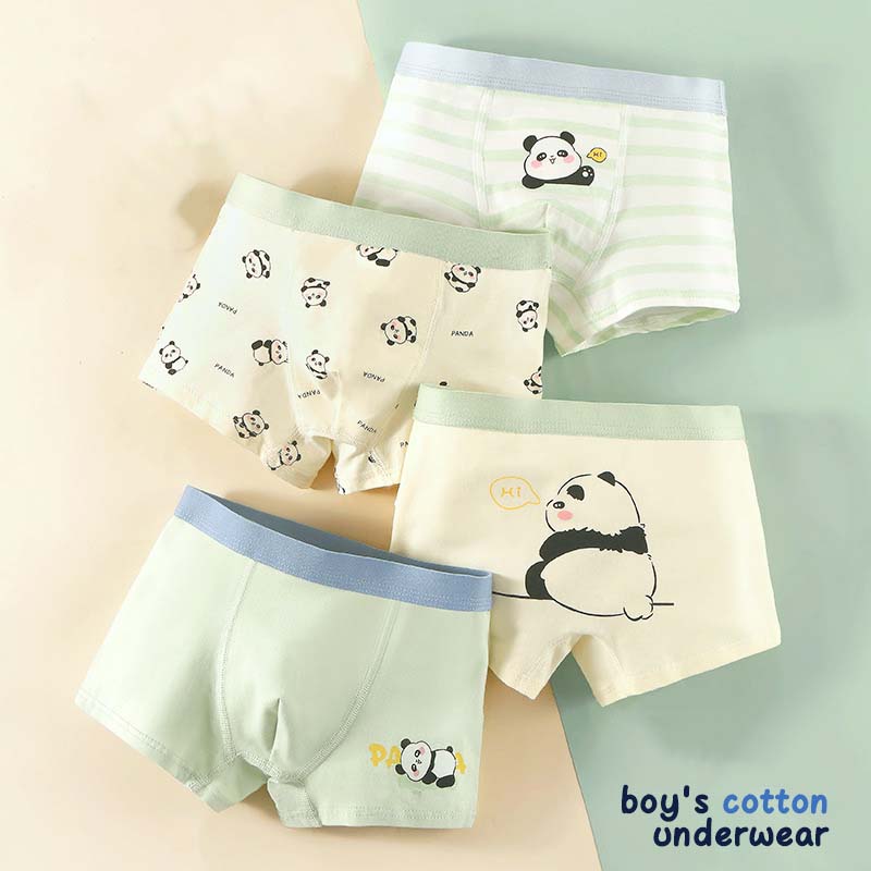 Boys' Cartoon Boxer Briefs