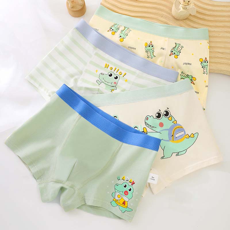 Boys' Cartoon Boxer Briefs