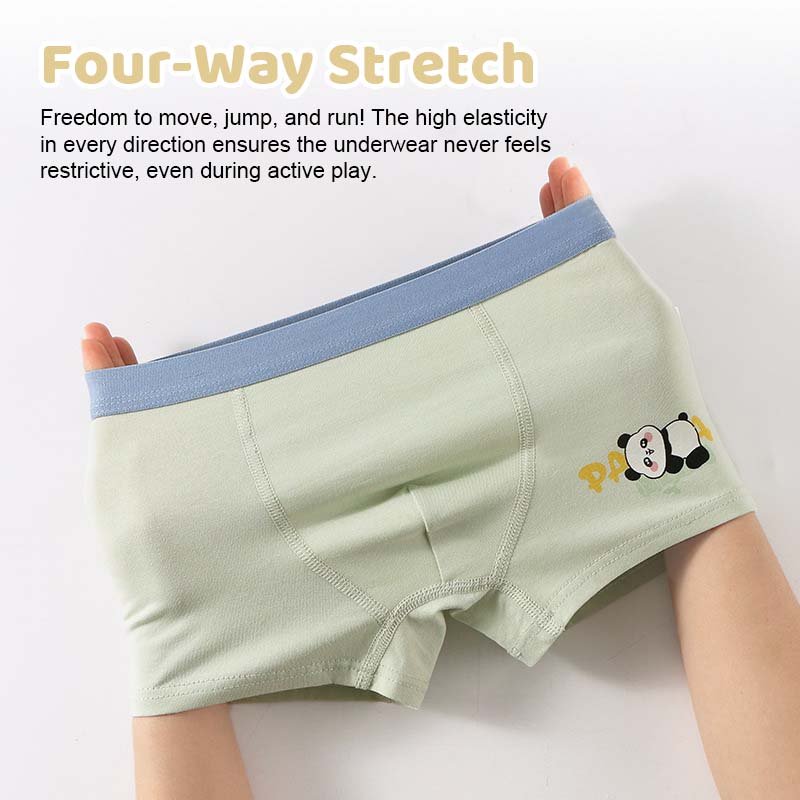 Boys' Cartoon Boxer Briefs