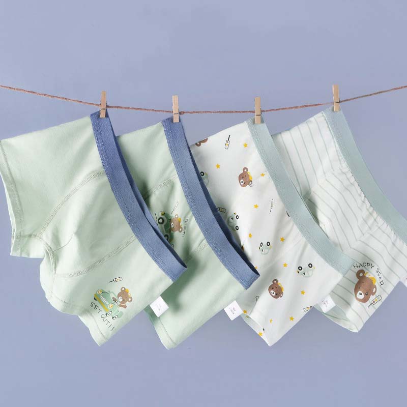 Boys' Cartoon Boxer Briefs