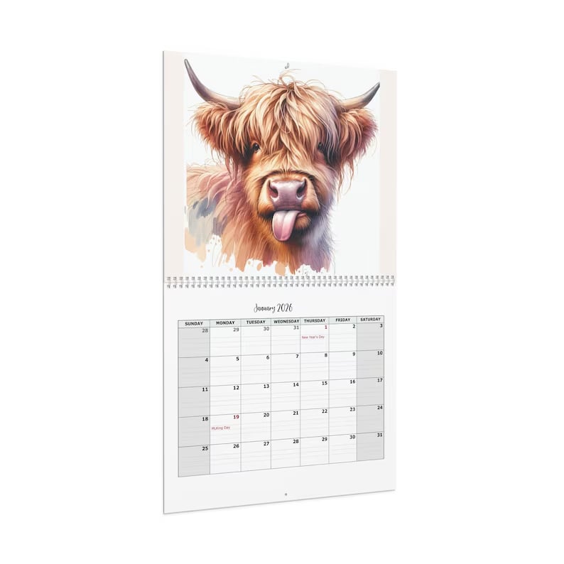 🐮Hochlandkuh-Kalender 2026 – Rustikale Wanddekoration im Landhausstil & Monatsplaner📅